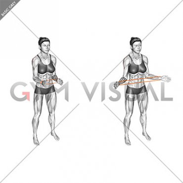 Resistance Band Standing External Rotation (female)