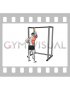 Resistance Band Cross Body Single Straight Arm Supinated Pulldown (male)