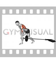 Barbell One Arm Bent over Row
