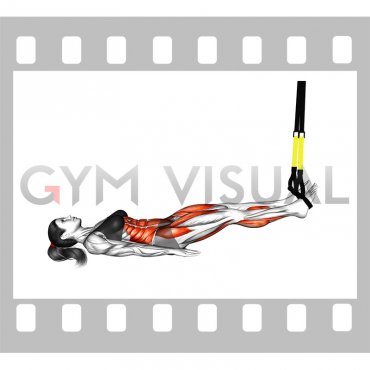 Suspender Straight Hip Leg Curl (female)