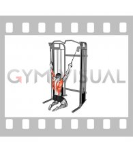 Cable Parallel Grip Lat Pulldown on Floor