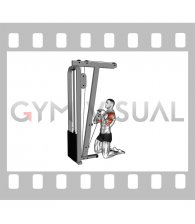 Cable Kneeling Shoulder Press