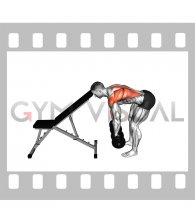 Dumbbell Head Supported Row