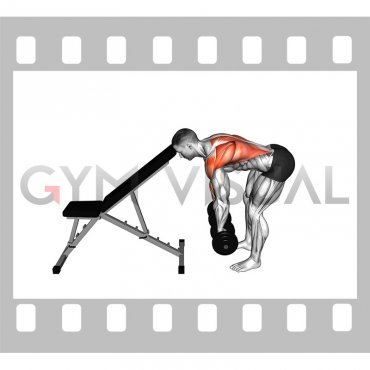 Dumbbell Head Supported Row