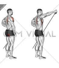 Band front lateral raise