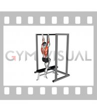 Assisted Chin-up on a bench (male)