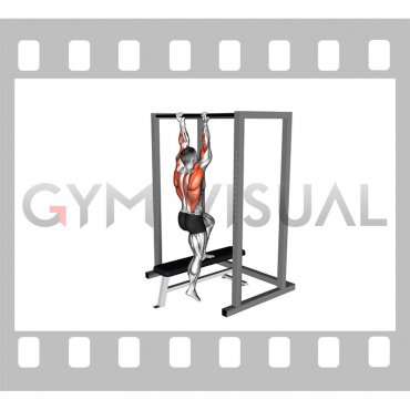 Assisted Chin-up on a bench (male)