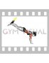 Suspender Incline Push-up (female)