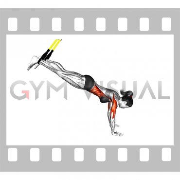 Suspender Incline Push-up (female)