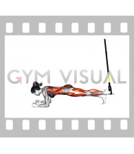 Suspender Single Leg Plank (straight arm) (female)