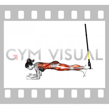 Suspender Single Leg Plank (straight arm) (female)