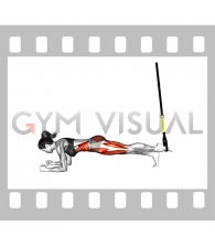 Suspender Single Leg Plank (female)