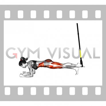 Suspender Single Leg Plank (female)