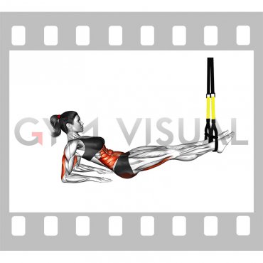 Suspender Supine Plank (female)