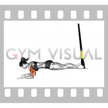 Suspender Triceps Extension Push-up (female)