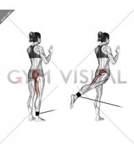 Band standing hip extension