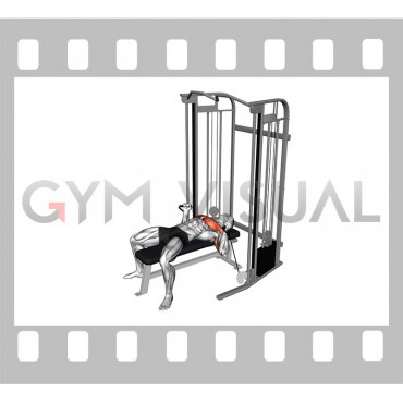 Cable Neutral grip Chest Press
