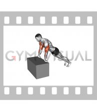 Inclime Reverse Push-up