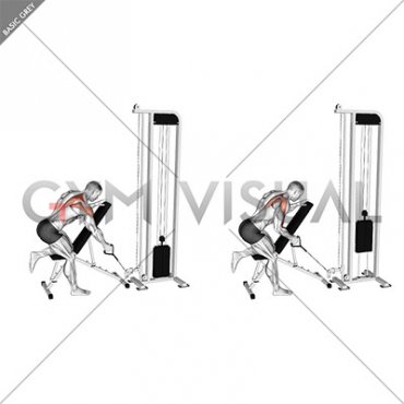 Cable Single Arm Low Scapular Row