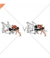 Lever Bent Over Row (with chest support)