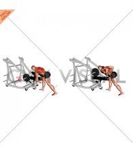 Lever Bent Over Neutral Grip Row (with chest support)