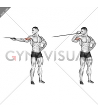 Band one arm overhead biceps cur