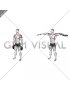 Weighted Plate Standing Lateral Raise (male)