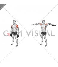 Weighted Plate Standing Lateral Raise (male)