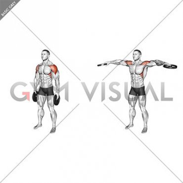 Weighted Plate Standing Lateral Raise (male)