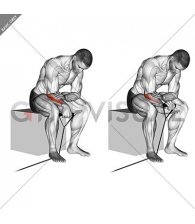 Band reverse wrist curl