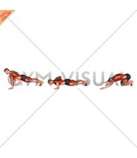 Push-up Pull (male)