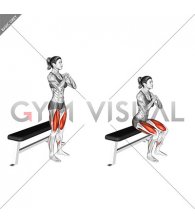 Bodyweight Bench Squat (female)