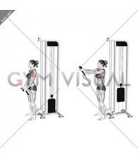 Cable Front Raise (rope attachment) (female)