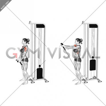 Cable Front Raise (rope attachment) (female)