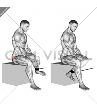 Band Seated Hip External Rotation