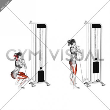 Cable Goblet Squat (female)