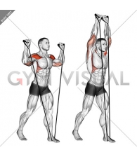 Band shoulder press