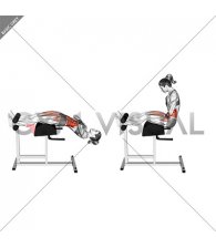 Glute Ham Sit-up (female)