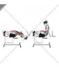 Glute Ham Sit-up (female)