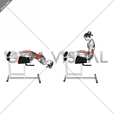 Glute Ham Sit-up (female)