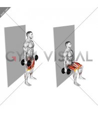 Dumbbell Banded Wall Sit (male)