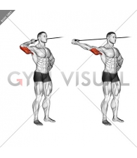 Band side triceps extension