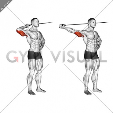 Band side triceps extension