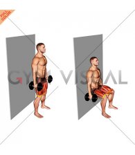 Dumbbell Banded Wall Sit (male)