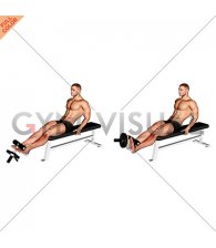 Weighted Plate Tibialis Anterior Curl (male)