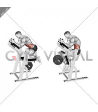 Lever Ab Swing (male)