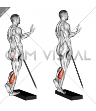 Band single leg calf raise