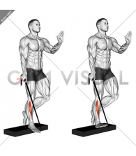 Band single leg reverse calf raise