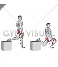 Band single leg split squat