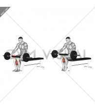 Barbell Seated Calf Raise